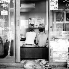 Sleeping Dog