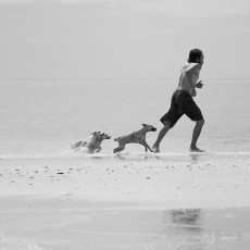 beach-chase