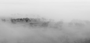 Misty Mount